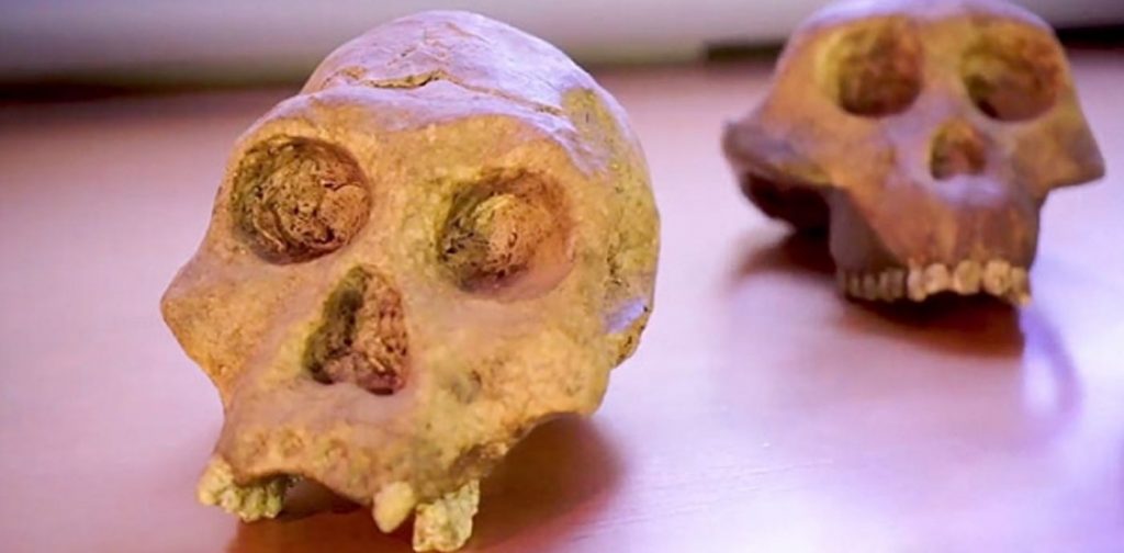 12 Maggio dalle ore 12.00 - Capranica Prenestina (Roma) - Homo - Qualcosa di... molto speciale! Quando pensiamo all’evoluzione umana la immaginiamo come una linea retta che, partendo dai primati, giunge fino a noi.