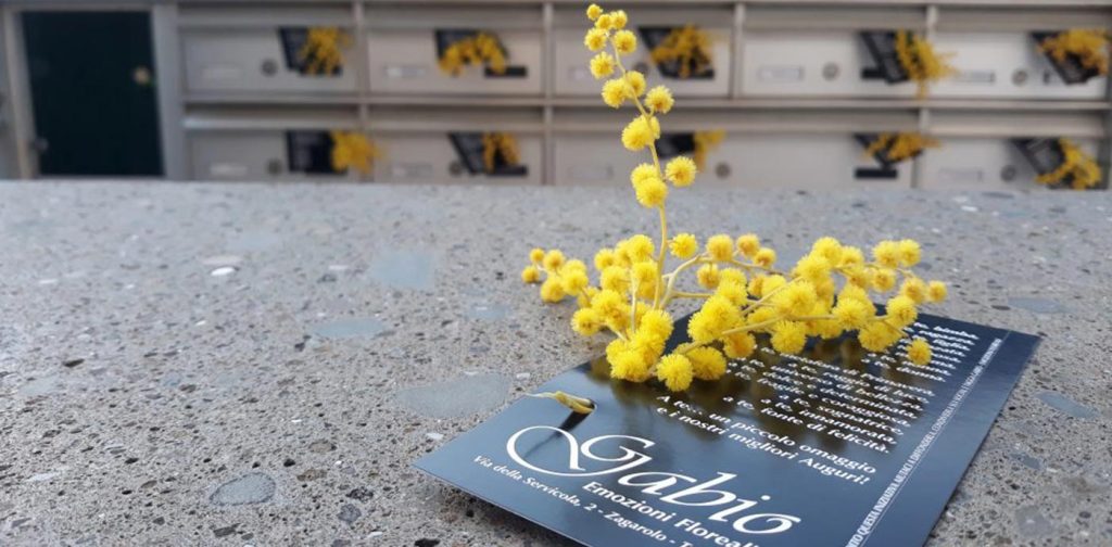 È divenuta virale in pochi minuti l’originale iniziativa messa in atto da Gabio – Emozioni Floreali per la Festa della Donna di quest’anno. Circa 2.000 ramoscelli di mimosa sono stati distribuiti, porta a porta..
